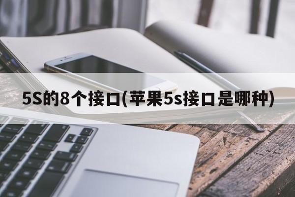 5S的8个接口(苹果5s接口是哪种)